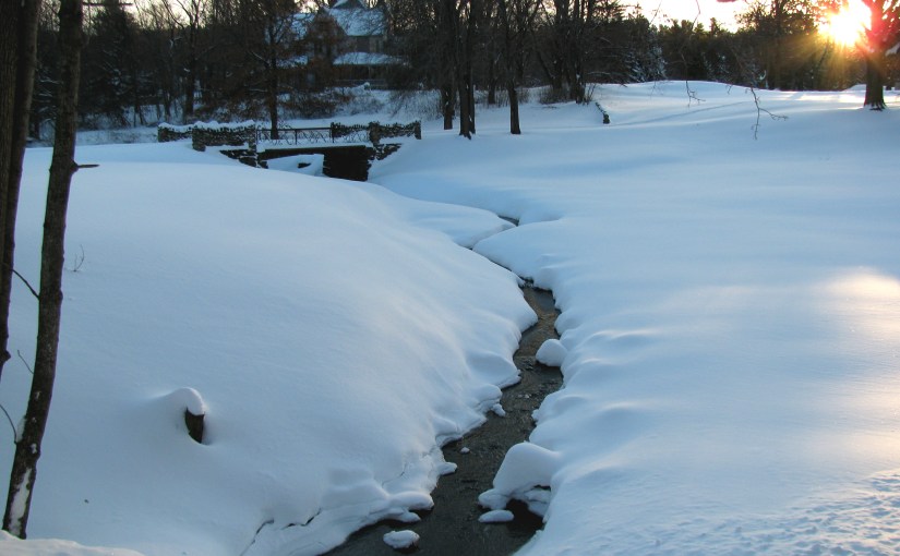 “Don’t push the river…it flows by itself..” ~Chinese&nbsp;proverb