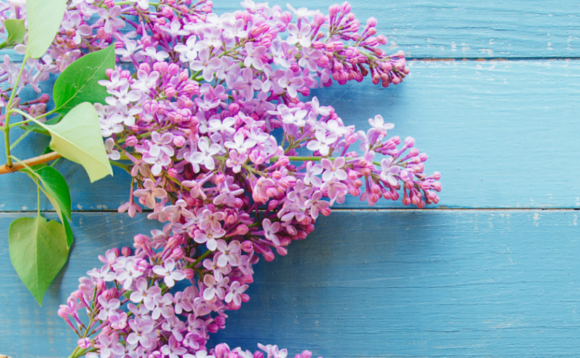 Mother’s Day is back&nbsp;again